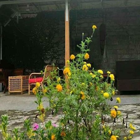 Tiffany Garden Apartment Mangsit Exterior photo