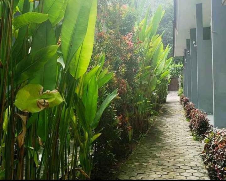 Tiffany Garden Apartment Mangsit Exterior photo